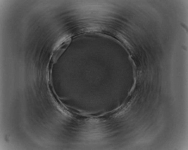 X0000091211034200709061435