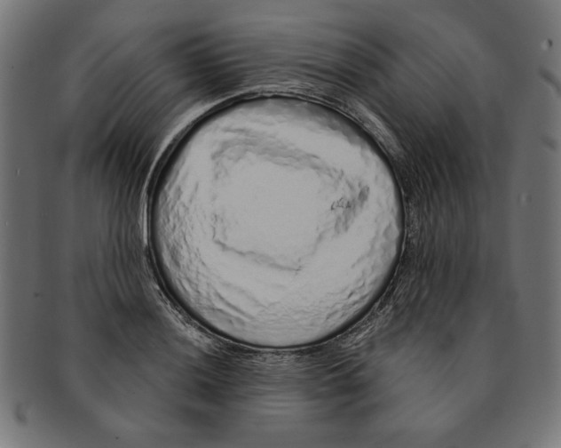 X0000091211036200709061435