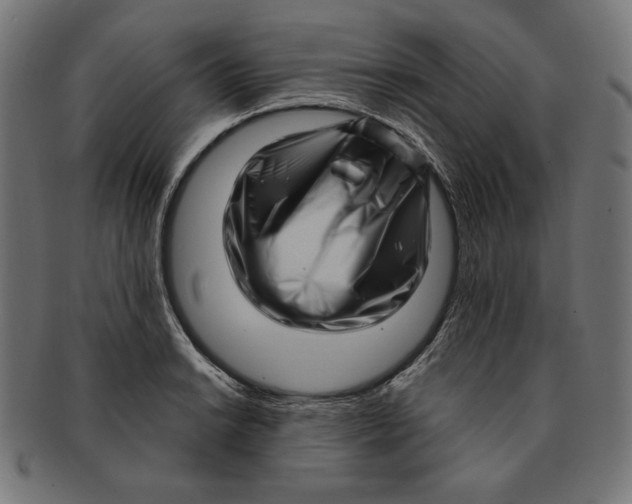 X0000091211038200709061436