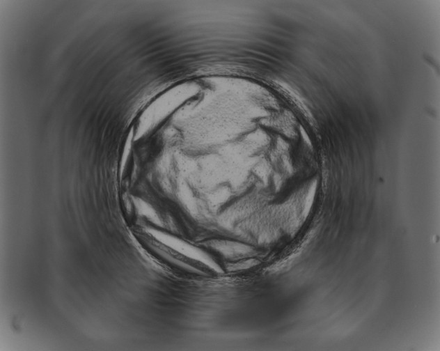 X0000091211041200709061436