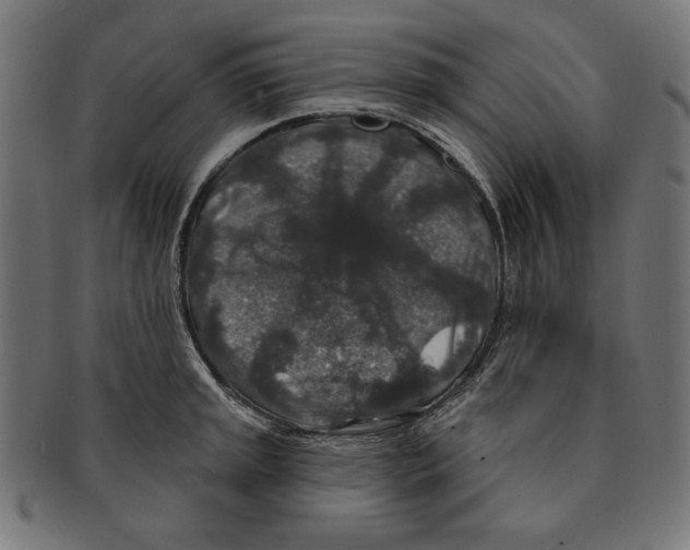 X0000091211045200709061436