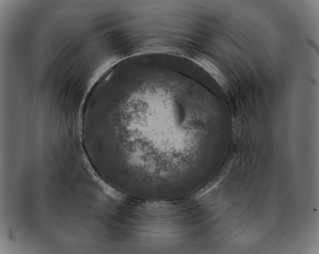 X0000091211046200709061436