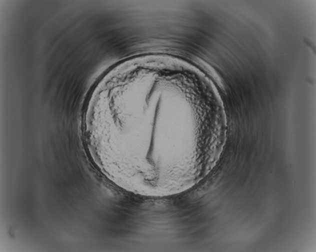 X0000091211051200709061436