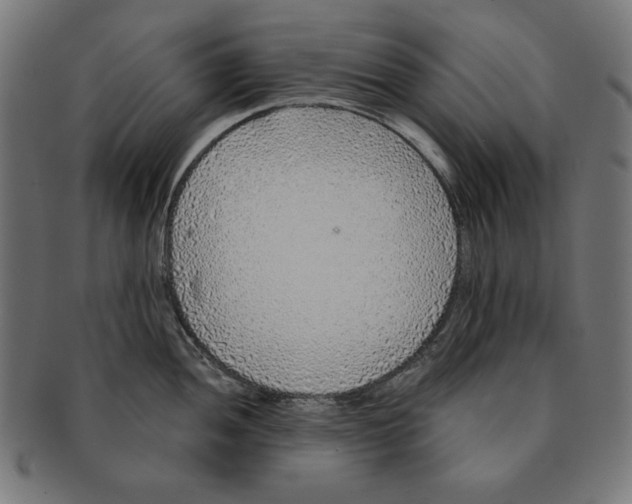 X0000091211052200709061436