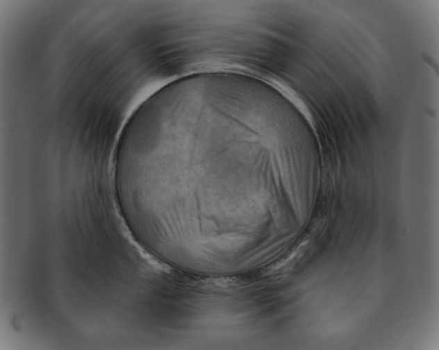 X0000091211053200709061436