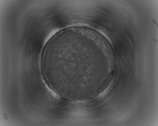 X0000091211054200709061436