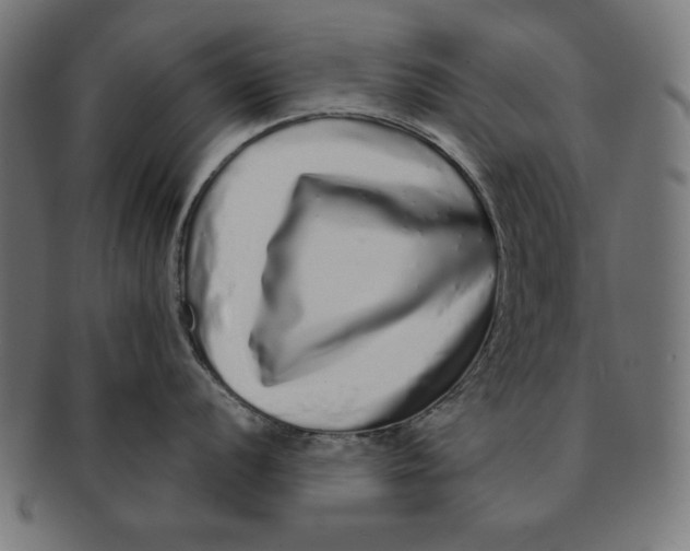 X0000091211056200709061436