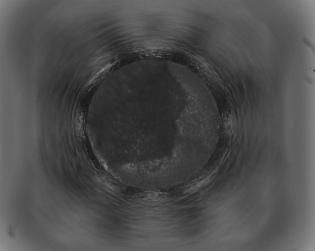 X0000091211060200709061435