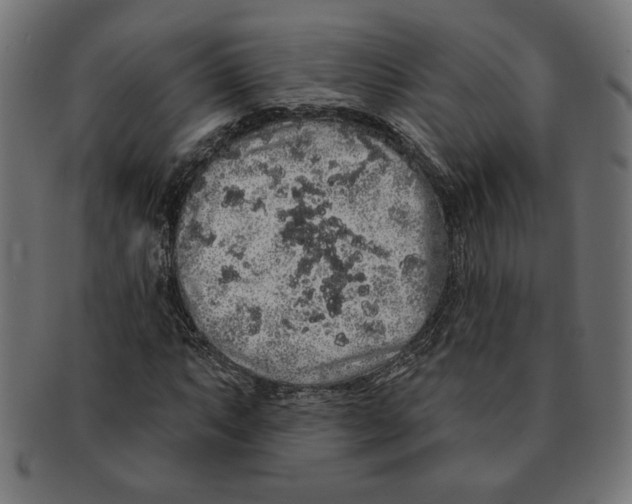 X0000091211063200709061435