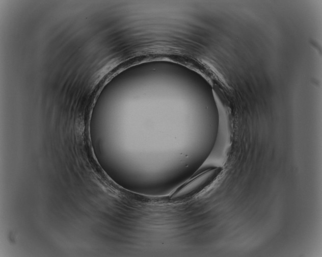 X0000091211065200709061435