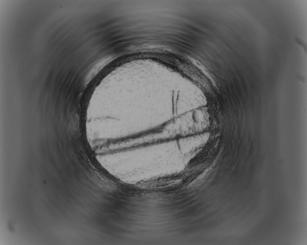 X0000091211066200709061435