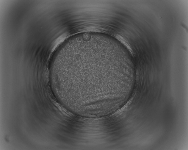 X0000091211067200709061435