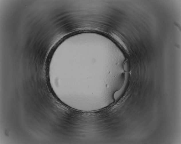 X0000091211068200709061435