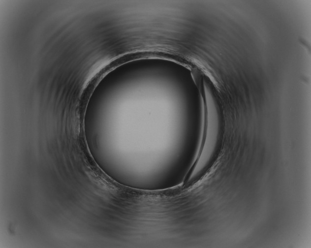 X0000091211069200709061435