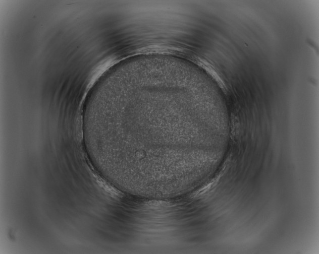 X0000091211075200709061435