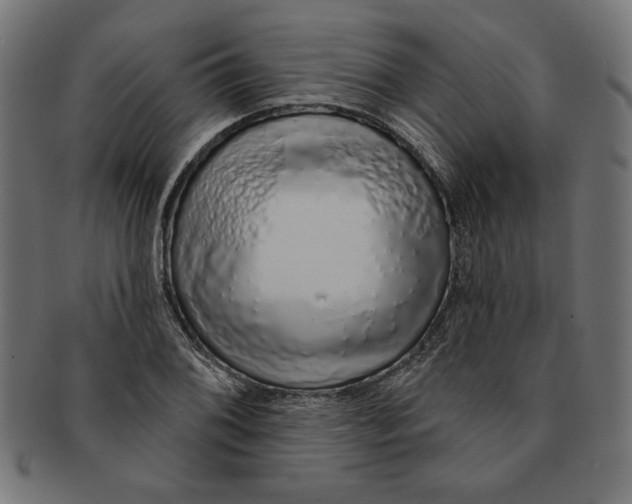 X0000091211076200709061435