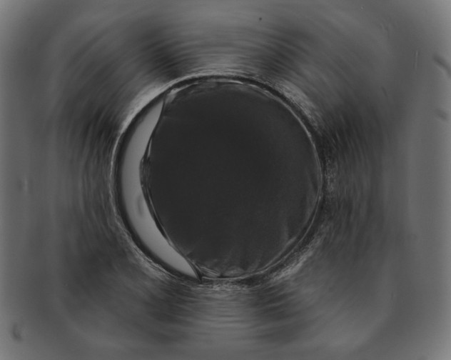 X0000091211077200709061435