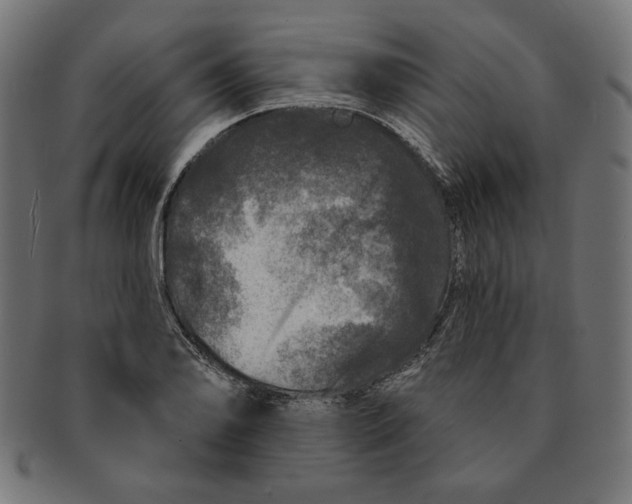 X0000091211078200709061435