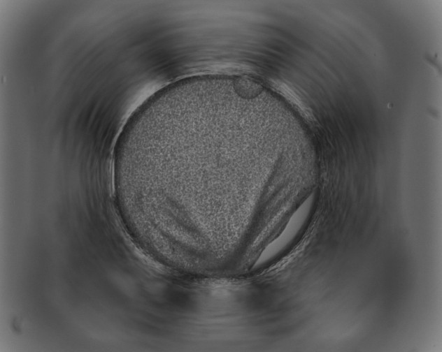 X0000091211079200709061435