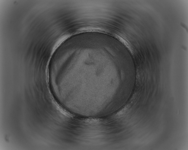 X0000091211082200709061435