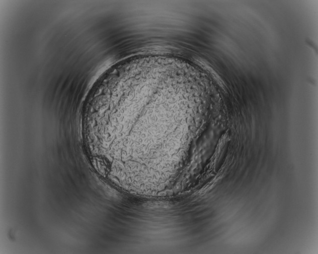 X0000091211083200709061435