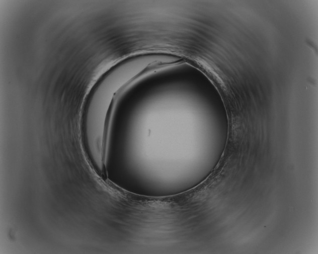 X0000091211085200709061435