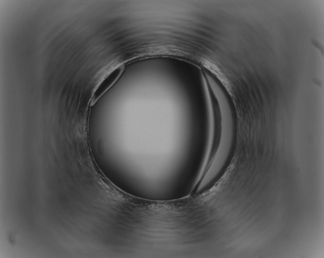 X0000091211089200709061435