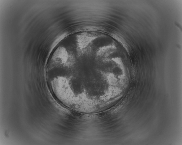 X0000091211090200709061435