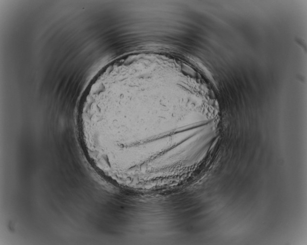 X0000091211091200709061435