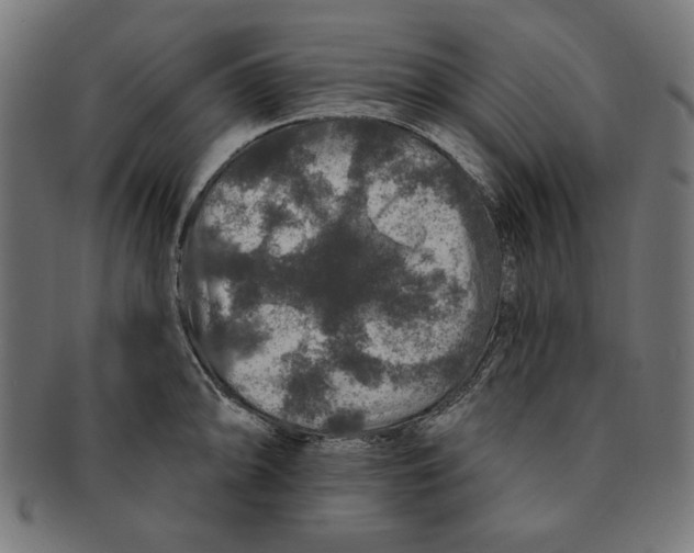 X0000091211094200709061435