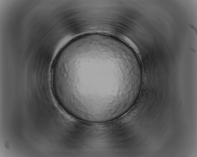 X0000091211096200709061435