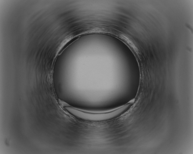 X0000091211097200709061435