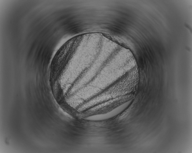 X0000091211102200709061435