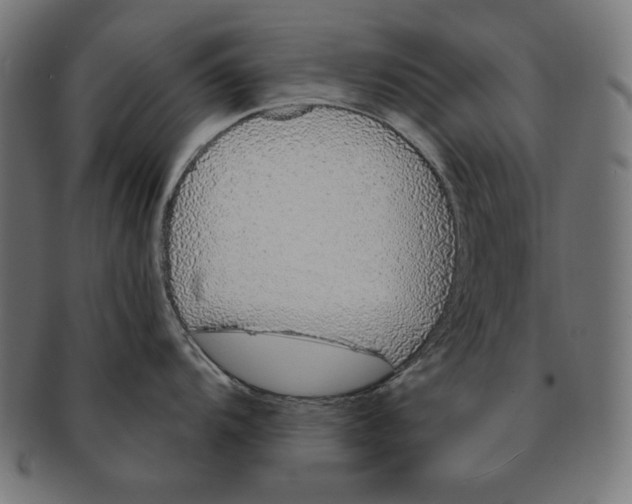 X0000091211104200709061435