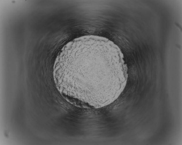 X0000091211105200709061434