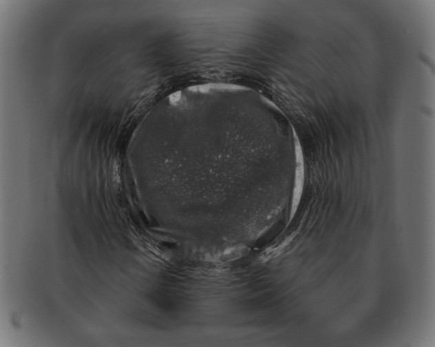 X0000091211106200709061434