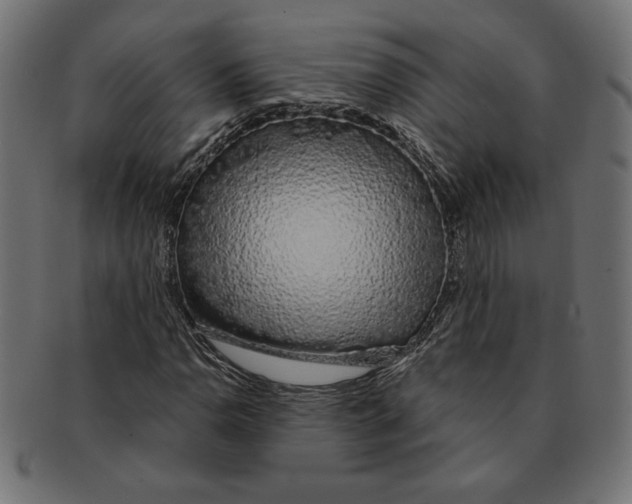 X0000091211110200709061434