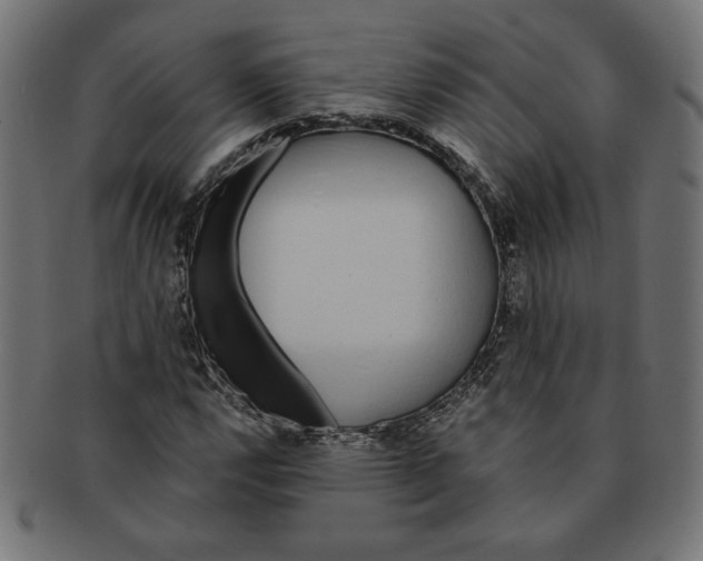 X0000091211112200709061434