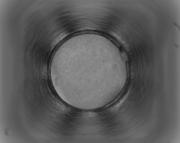 X0000091211113200709061434