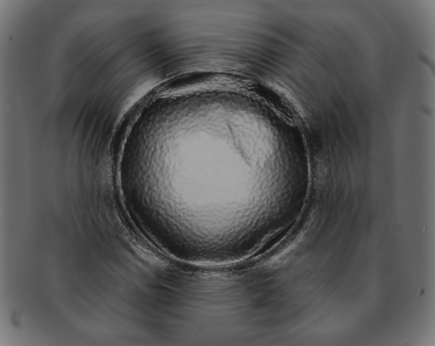 X0000091211114200709061434