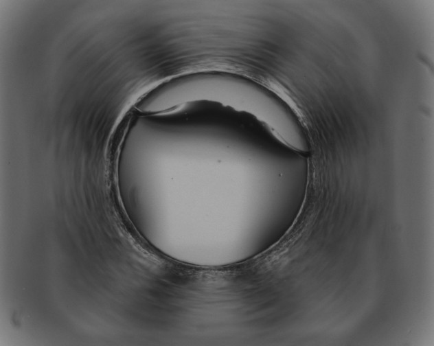 X0000091211116200709061434