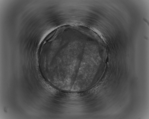 X0000091211120200709061434