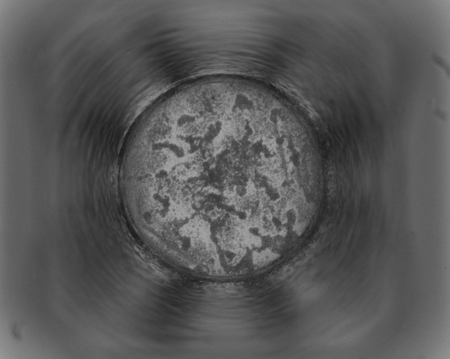 X0000091211121200709061434