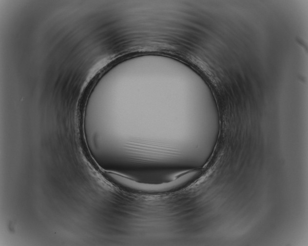 X0000091211122200709061434