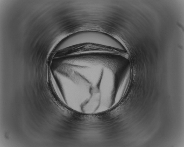 X0000091211123200709061434