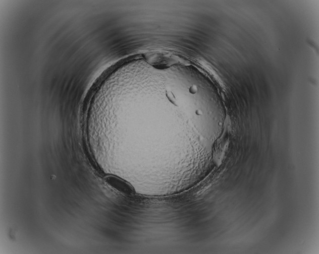 X0000091211124200709061434