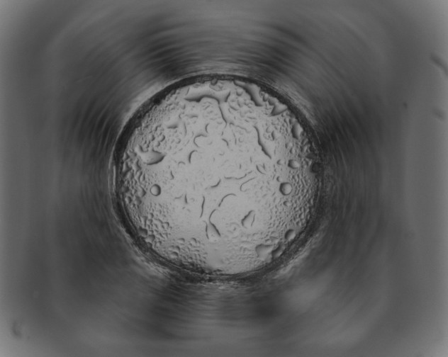 X0000091211125200709061434