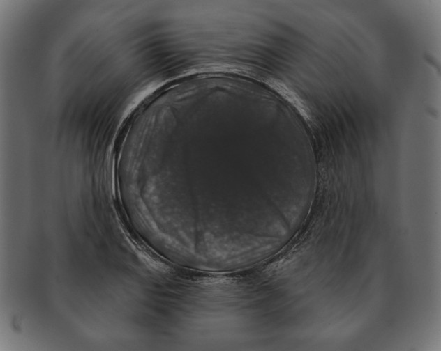 X0000091211127200709061434