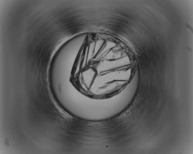 X0000091211128200709061434