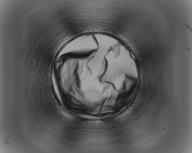 X0000091211129200709061434